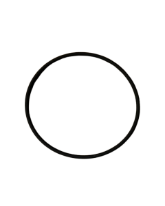 Viton O-Ring For 1986SV And T196SV